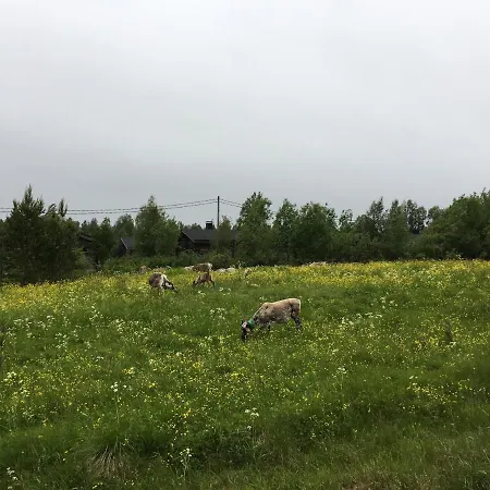 Alpstuga Rukan Otsolanhovi