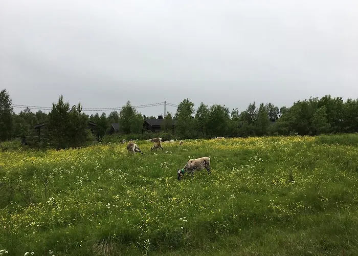 Chalet Rukan Otsolanhovi